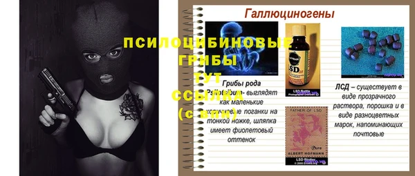 твердый Михайловка