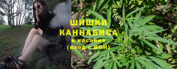 мдпв Михайловск