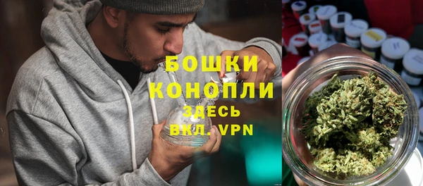 мдпв Михайловск