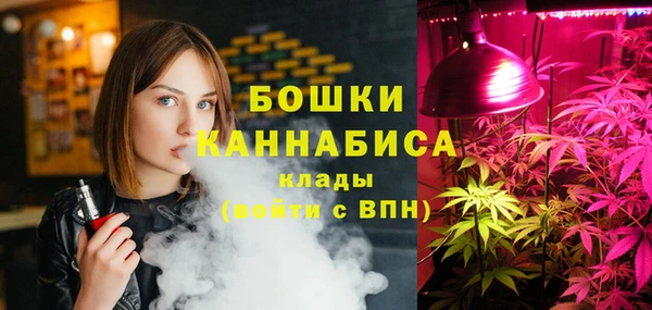 мдпв Михайловск