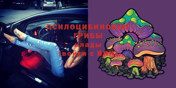 мдпв Михайловск